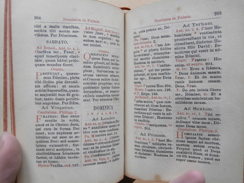 Horae diurnae Breviarii Romani 1873.     Sobota před Květnou nedělí.